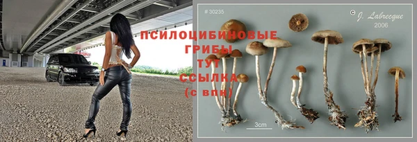 амф Алзамай