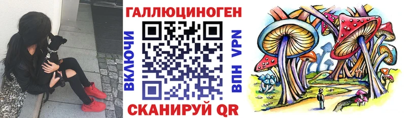 Псилоцибиновые грибы Psilocybe  маркетплейс как зайти  Бавлы  наркотики 